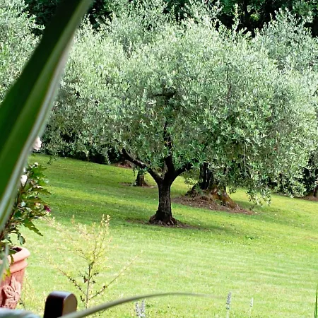 Luna Guest house Comeana