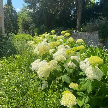 Guest house Luna Comeana