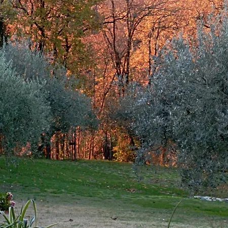 Guest house Luna Comeana