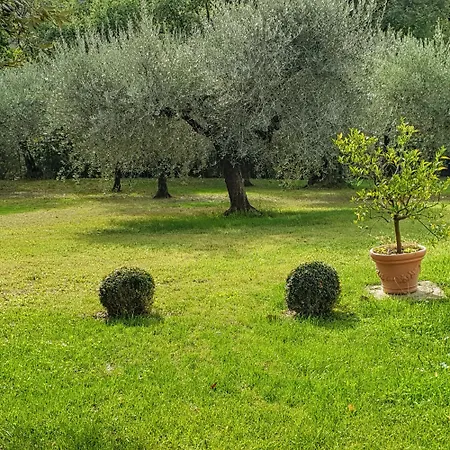 Guest house Luna Comeana