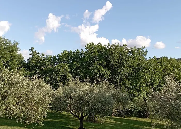 Πανσιόν Luna 4*