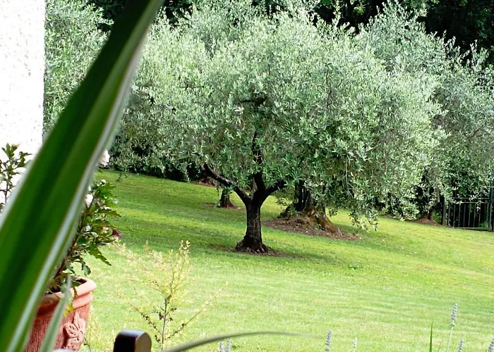 Luna Πανσιόν Comeana