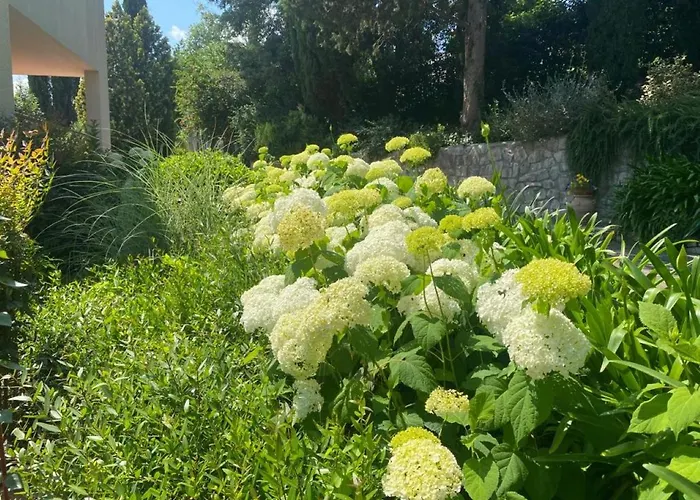 Πανσιόν Luna Comeana