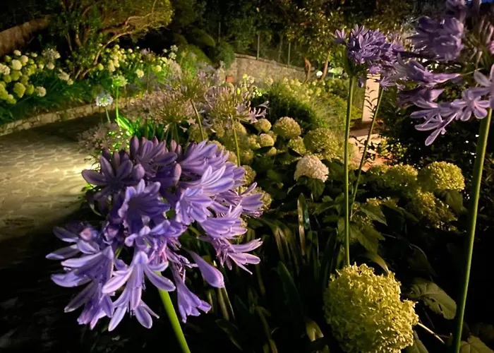 Luna Πανσιόν 4*