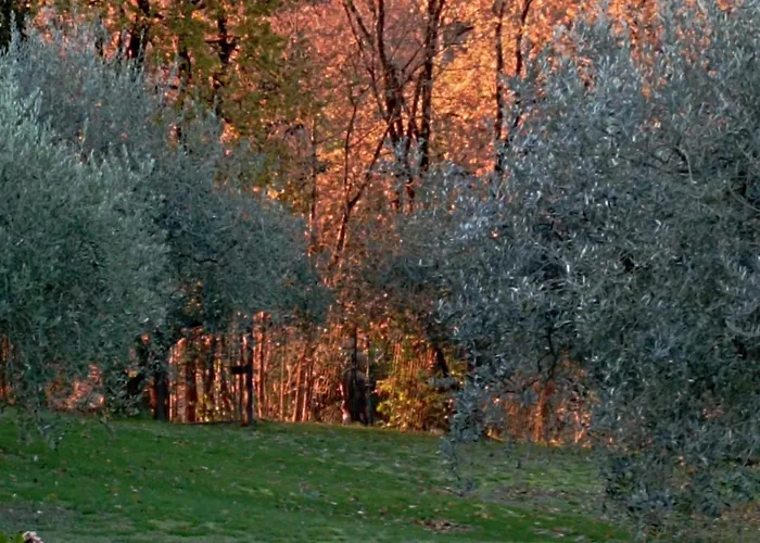 Πανσιόν Luna Comeana