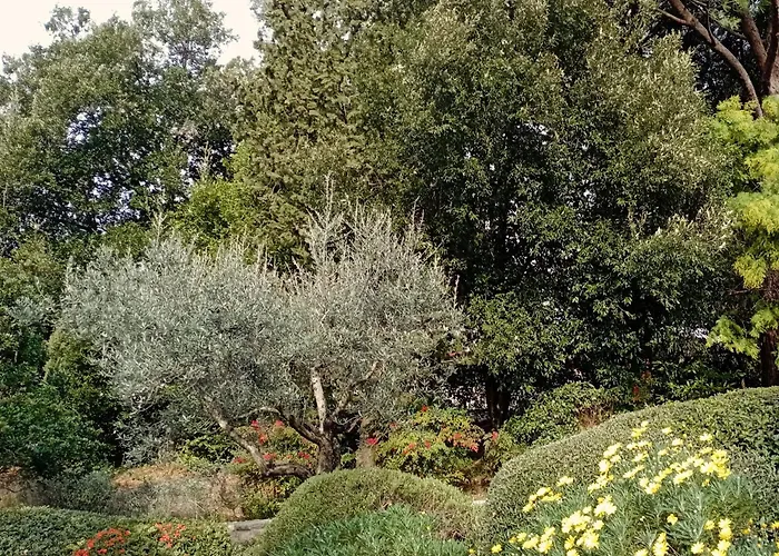 Luna Πανσιόν Comeana